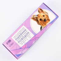 Набор &laquo;Нежность&raquo;, застёжка - фастекс, поводок 2 м и ошейник 28-46 см