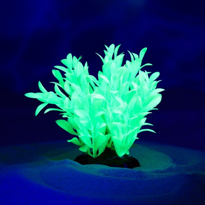 Растение искусственное аквариумное, светящееся, 10 см, зелёное Растение искусственное аквариумное, светящееся, 10 см, зелёное