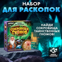 Набор для раскопок &laquo;Сокровища гномов&raquo;