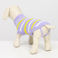 Свитер "Полоски", 2XL (ДС 41, ОШ 41, ОГ 36-60 см) Свитер "Полоски", 2XL (ДС 41, ОШ 41, ОГ 36-60 см)