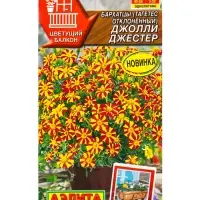 Семена цветов Бархатцы Джолли Джестер отклоненные  Цветущий балкон, Ц/П,0,1 г