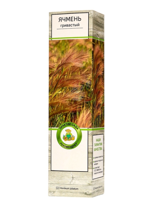 Ячмень гривастый, туба, 1 шт, Весна 2025