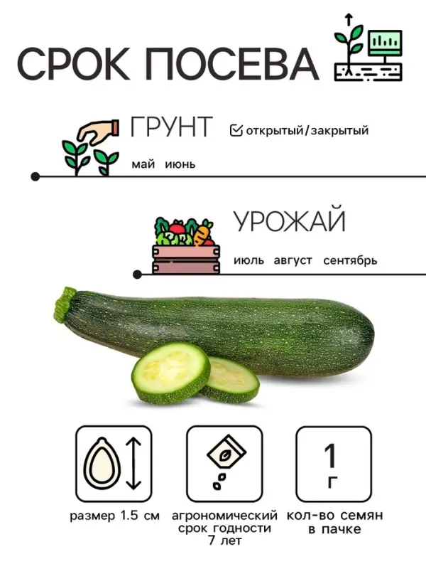 Семена Кабачок цуккини "Фараон", 1 г