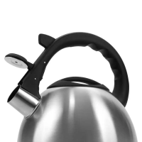 Чайник для плиты со свистком 2,2 л. для индукции