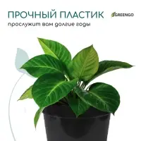 Горшок для рассады, 2 л, d = 17,5 см, h = 13 см, пластик, чёрный, Greengo