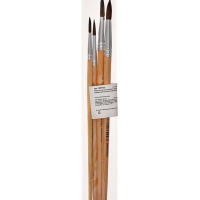Набор кистей пони 4 штуки: № 2, 4, 6, 8, круглые, с деревянными ручками, в блистере