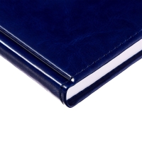 Ежедневник недатированный А5, 160 листов "Небраска", обложка искусственная кожа, перфорация углов, синий