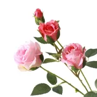 Цветы искусственные &laquo;Роза Августина галант&raquo;, d=6 см, h=55 см, светло-розовые