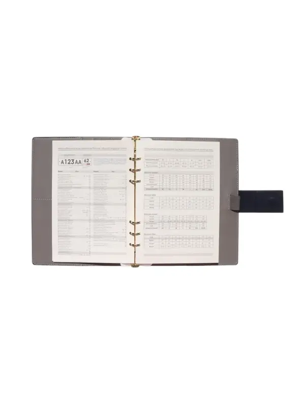 Органайзер на кольцах, А5, с хлястиком, 80л, линия, к/зам, Синий