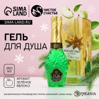 Гель для душа во флаконе мондоро &laquo;Богатства и успеха в Новом Году&raquo;, 250 мл, аромат зеленого яблока, ЧИСТОЕ СЧАСТЬЕ