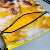 Мешок для обуви &laquo;Забавный корги&raquo; 2 секции, 30&times;40 см