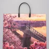 Пакет "Дунай", полиэтиленовый с пластиковой ручкой, 38 х 34 + 3 см, 90 мкм