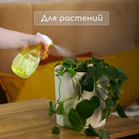 Пульверизатор, 0,3 л, цвет МИКС, Greengo