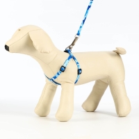 Комплект "Камуфляж", ширина 1 см,шлейка 21-35 см,поводок 120 см,капрон,капрон, сине-голубой