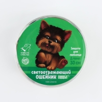 Ошейник светоотражающий &laquo;Лапки&raquo; с подвесом, 30 х 1 см, цвет зелёный