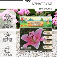 Лилия Азиатская Pink County, луковица в пакете с перфорацией, р-р 12/14, 3 шт.