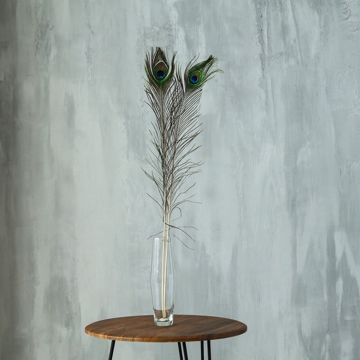 Перо павлина для декора, 1 шт.