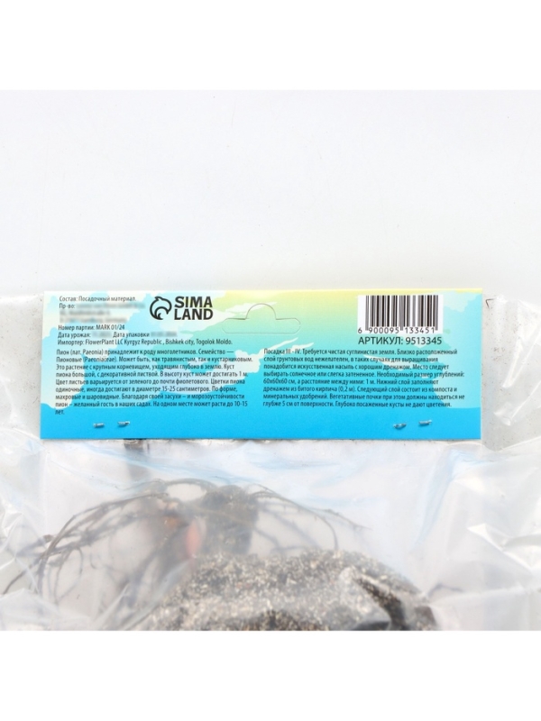 Пион Madame Calot, корневище в пакете с торфогрунтом, р-р 2/3, 1 шт.