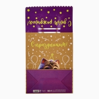 Пакет с клапаном &laquo;С Днём рождения&raquo;, котик, крафт, глиттер, 19,5 &times; 10 &times; 25.2 см