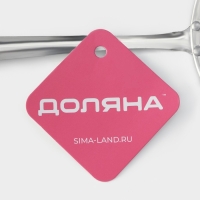 Сито для снятия пены из нержавеющей стали Доляна &laquo;Металлик&raquo;, 26&times;10 см