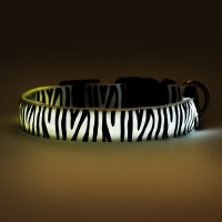 Ошейник с подсветкой Зебра 3 режима свечения размер XL, ОШ 60-70 х 2,5 см белый Ошейник с подсветкой Зебра 3 режима свечения размер XL, ОШ 60-70 х 2,5 см белый