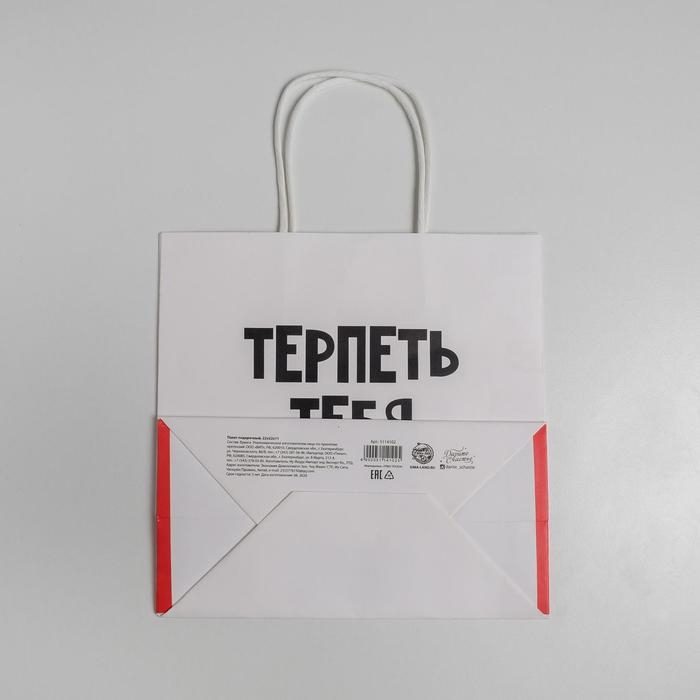 Пакет подарочный, упаковка, &laquo;Терпеть тебя не могу&raquo;, 22 х 22 х 11 см