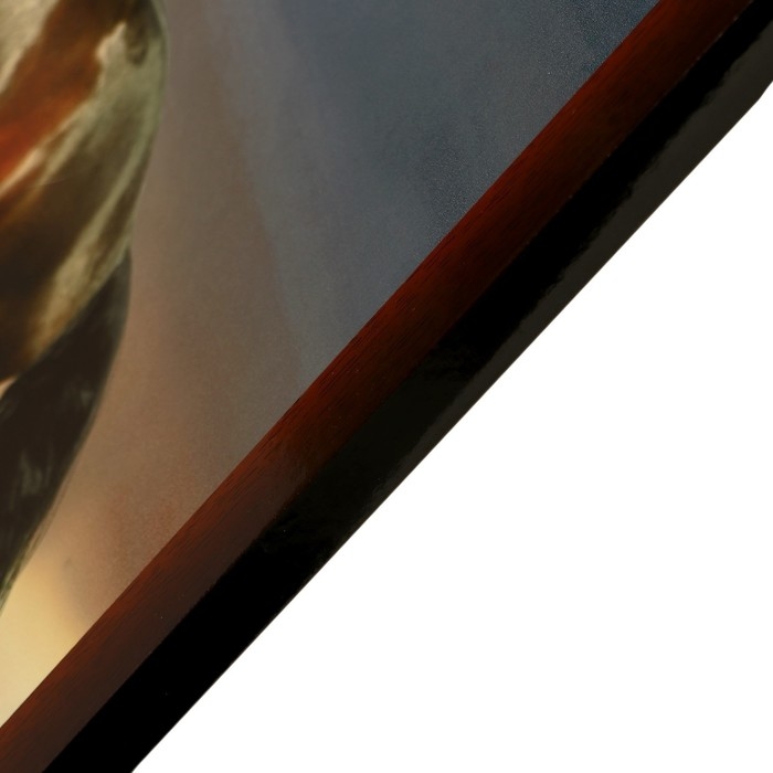 Картина Картина "Кони" 60х100 (65х105) см