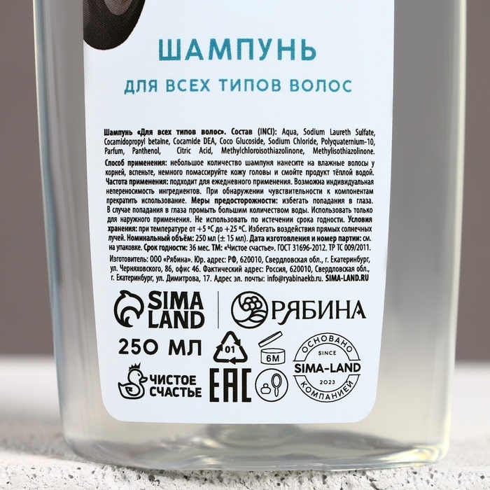 Подарочный набор косметики &laquo;Новых побед в Новом Году!&raquo;, гель для душа и шампунь для волос, 2 х 250 мл, ЧИСТОЕ СЧАСТЬЕ