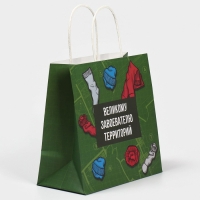 Пакет подарочный, упаковка, &laquo;Завоеватель&raquo;, 22 х 22 х 11 см