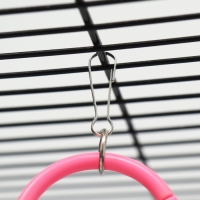 Игрушка для птиц "Разноцветные кольца" 5 шт Игрушка для птиц "Разноцветные кольца" 5 шт