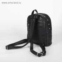 Рюкзак молодёжный, отдел на молнии, цвет чёрный Рюкзак молодёжный, отдел на молнии, цвет чёрный