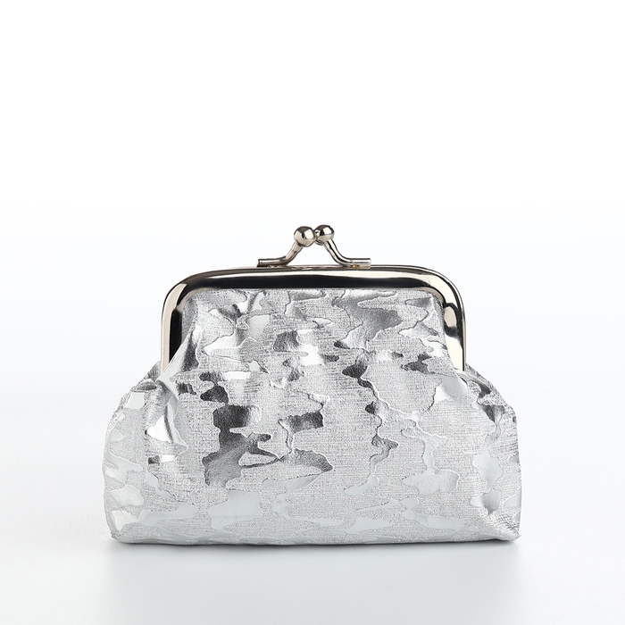 Кошелёк женский на фермуаре, цвет серебряный Кошелёк женский на фермуаре, цвет серебряный