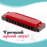 Губная гармошка &laquo;Гармоника&raquo;, с металлическим корпусом и футляром, цвета МИКС