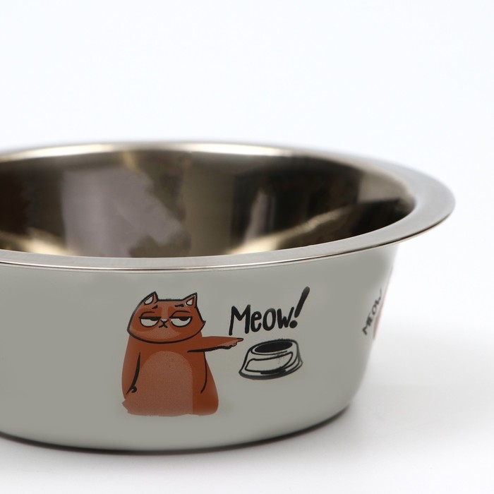 Миска стандартная "Пижон. Meow!",  350 мл