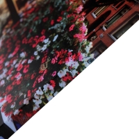 Картина на холсте "Цветочный закат" 50*70 см Картина на холсте "Цветочный закат" 50*70 см