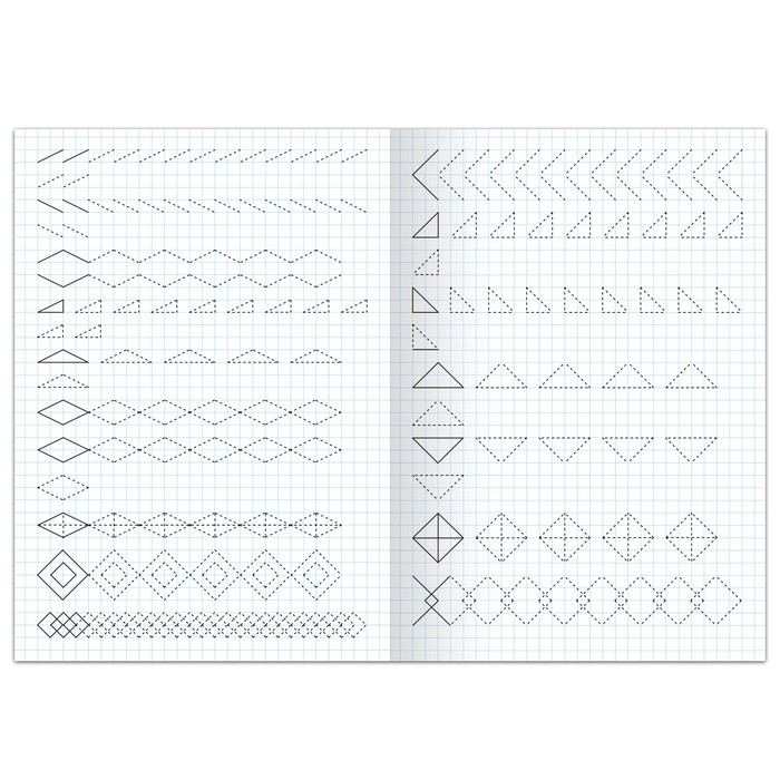 Прописи &laquo;Узоры по клеткам&raquo;, 20 стр., формат А4