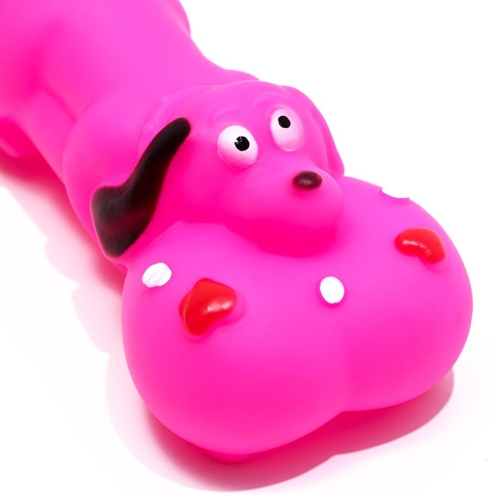 Игрушка пищащая Игрушка пищащая "Косточка и пес" для собак, 15 х 6 см, розовая