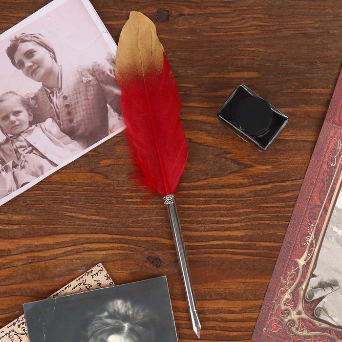 Родословная книга в шкатулке &laquo;Древо&raquo;, 56 листов, набор 3 предмета.