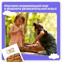 Развивающий набор &laquo;Отыщи и покажи&raquo;, 54 карточки, 3+