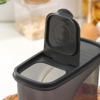 Ёмкость для сыпучих продуктов &laquo;Бест&raquo;, 2 л, 9,5&times;19&times;19 см, цвет прозрачный, крышка серая