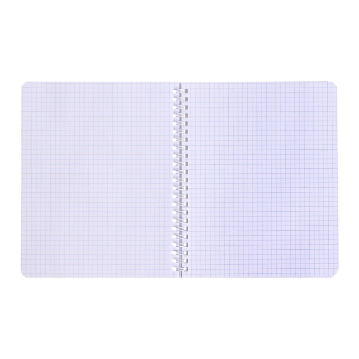 Тетрадь 48 листов в клетку на гребне Тетрадь 48 листов в клетку на гребне "Гарри Поттер", обложка мелованный картон, матовая ламинация, 3D фольга, блок офсет, 4 вида МИКС