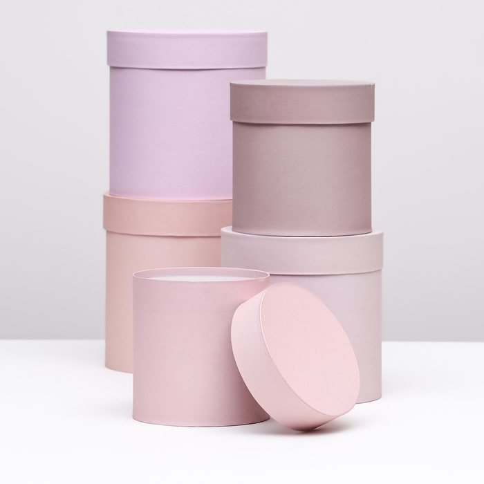 Набор шляпных коробок 5 в 1 "Пудра",20 &times; 20 &times; 20‒13,5 &times; 13,5 &times; 13,5 см