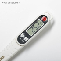 Термометр (термощуп) электронный на батарейках, в чехле Термометр (термощуп) электронный на батарейках, в чехле