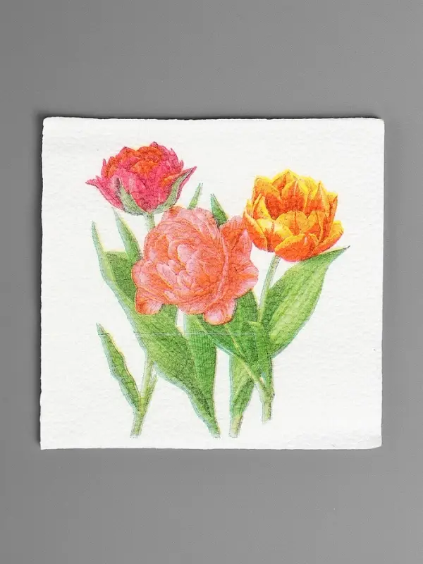 Салфетки бумажные Гармония цвета многоцветие "Тюльпаны", 24*24 см 50 листов