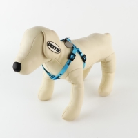 Комплект &laquo;Дай пять!&raquo;, шлейка 26-39 см, поводок 120х1 см, медальон