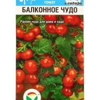 Семена Томат "Балконное чудо", ультраскороспелый,детерминантный,низкорослый 20 шт