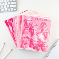 Комплект тетрадей 48 листов, 10 предметов со справ. мат. в обечайке "Розовый"