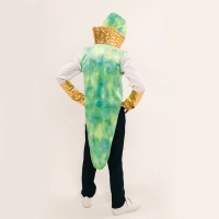 Карнавальный костюм детский &laquo;Новогодний змей&raquo;: жилетка, нагрудник, шапка, нарукавники, рост 116-128 см