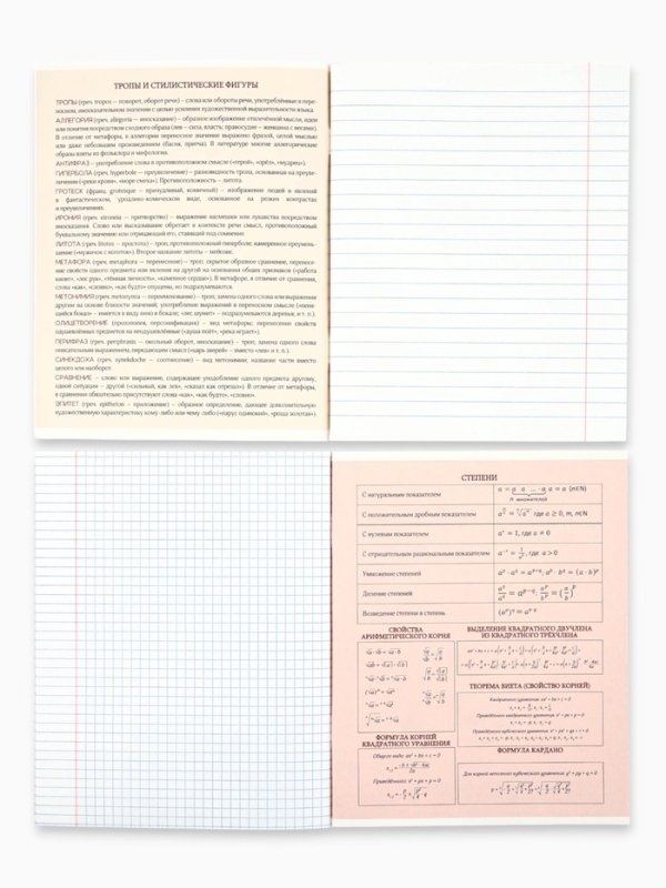 Набор тетрадей 48 листов, 10 предметов, внутренний блок №1 &laquo;Абстракция&raquo; ТВИН лак, уф лак