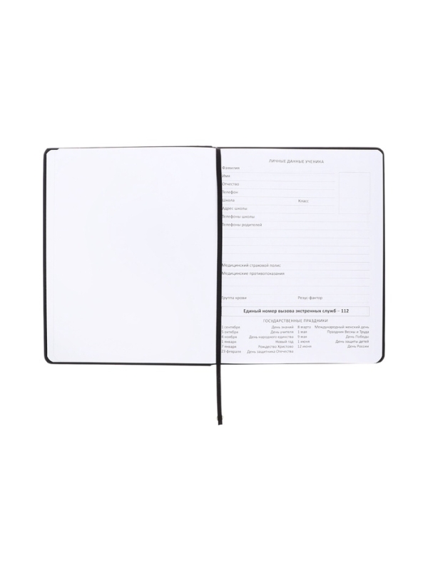 Дневник школьный 1-11 класс, deVENTE. 99% CRAZY&raquo;, искусственная кожа, шелкография